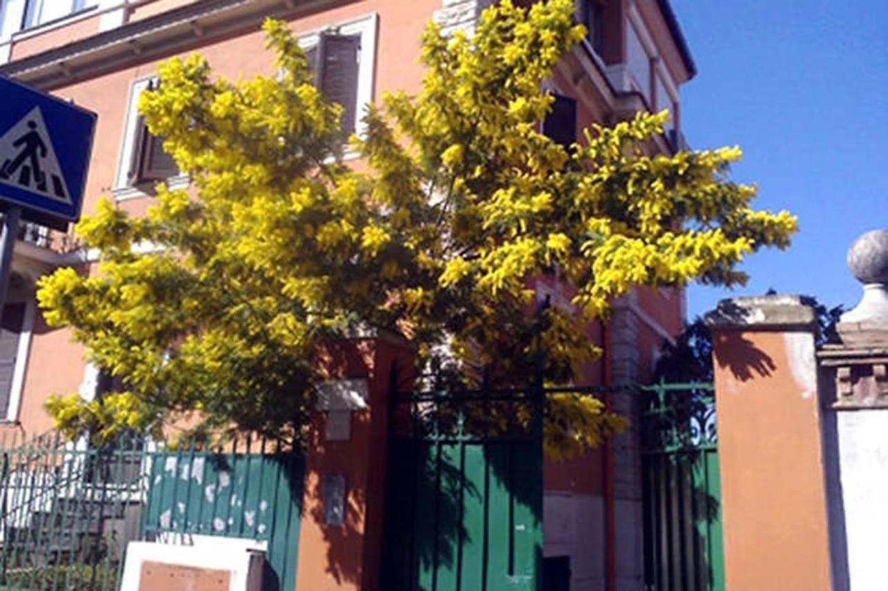 Garden Flat By Vatican Walls Guest house Rome